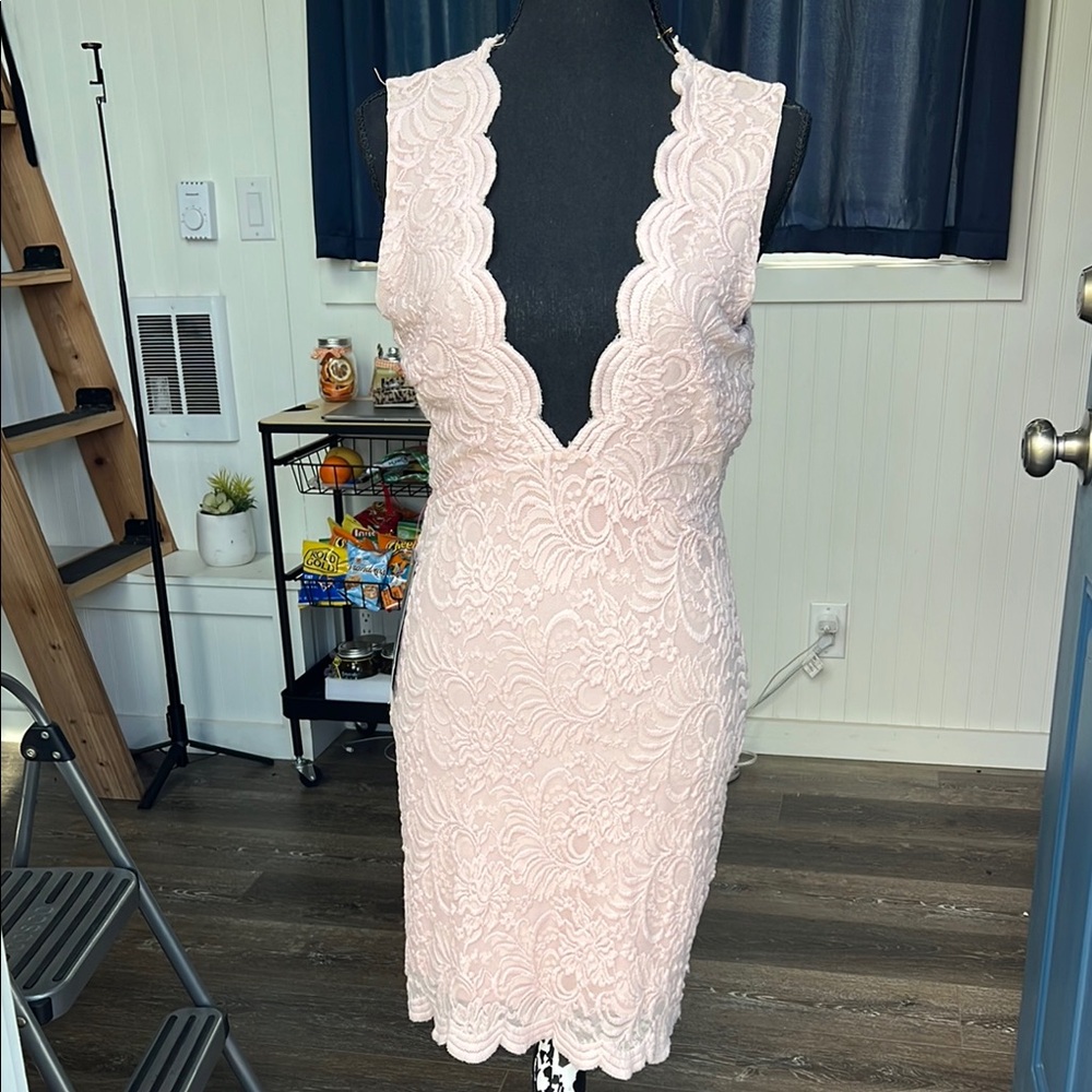 Elegant Pink Lace Dress